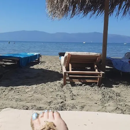 Sea & Sun فلورا